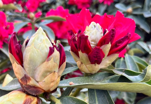 23-06-03 16-35-15 5783